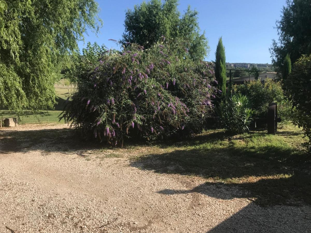 Lou Mas Li Pitchoun "L'Olivade" Apartamento Gordes Exterior foto