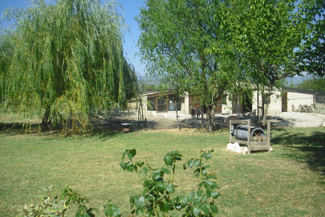 Lou Mas Li Pitchoun "L'Olivade" Apartamento Gordes Exterior foto