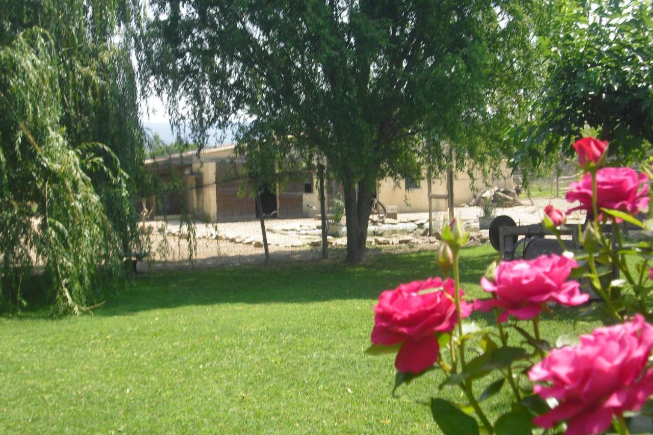 Lou Mas Li Pitchoun "L'Olivade" Apartamento Gordes Exterior foto