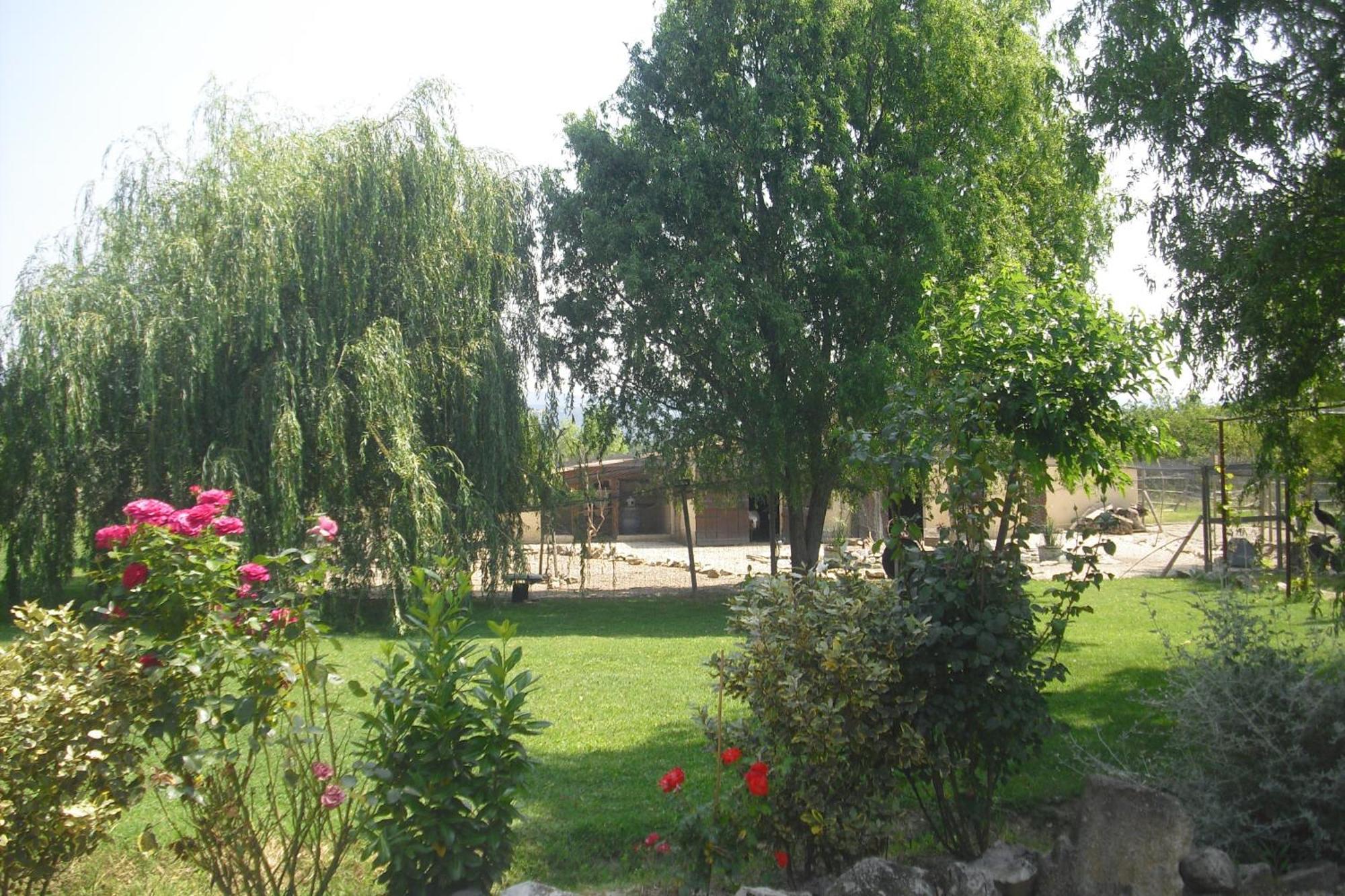 Lou Mas Li Pitchoun "L'Olivade" Apartamento Gordes Exterior foto